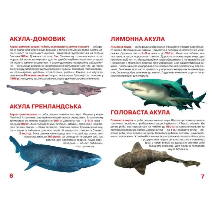 Книга "Велика книга. Акули" (укр)