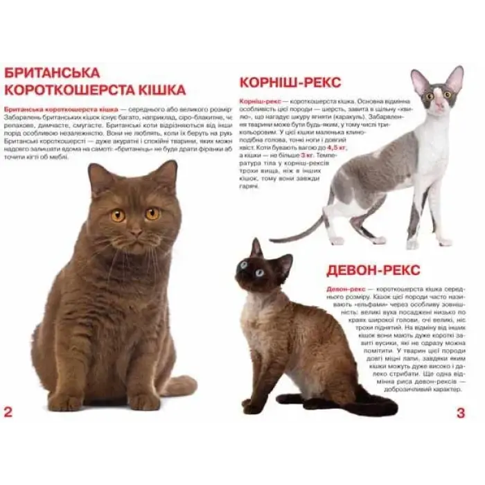 Книга "Велика книга. Кішки" (укр)