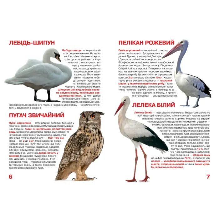 Книга "Велика книга. Тваринний світ України" (укр)