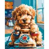 Картина за номерами "МИЛИЙ ПЕСИК (ГОЛДЕНДУДЛЬ)" 40х50 см