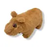 Капібара к