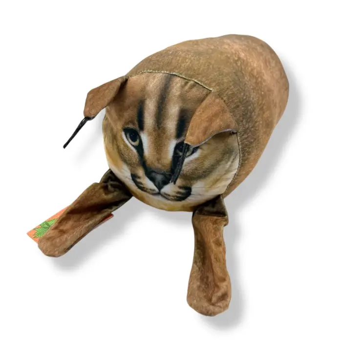 Котя 2