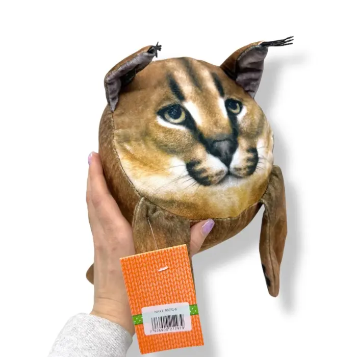 Котя 2