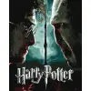 Картина за номерами з фарбами металік "Harry Potter: Гаррі та Волдеморт" 40х50см