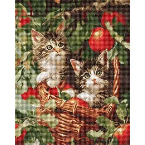 Алмазна мозаїка "Коти у кошику" 40х50 см