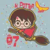 Картина за номерами "Harry Potter, Гаррі Поттер: Політ на мітлі" 25х25 см