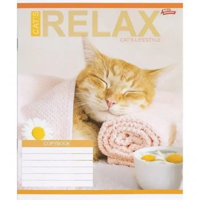 Зошит КОЛЬОРОВИЙ на 18 аркушів КЛІТИНКА "RELAX CATʼS" (20 ШТ)