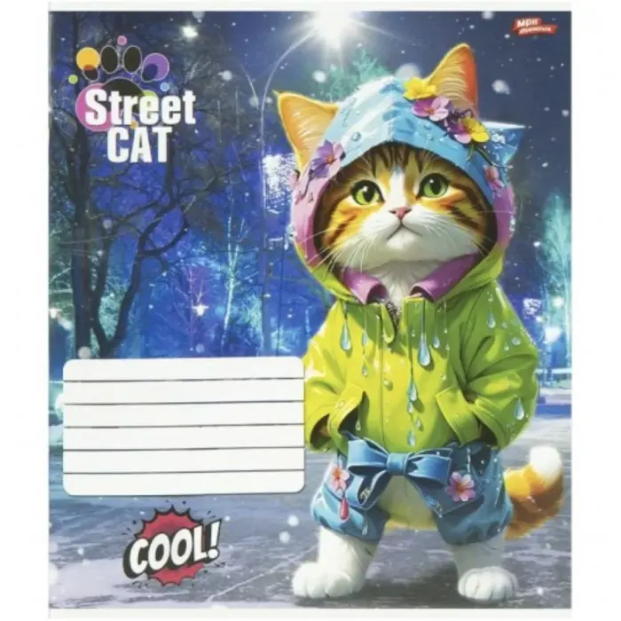 Зошит 12л клітинка "Street Cat" (20 примірників, мікс)