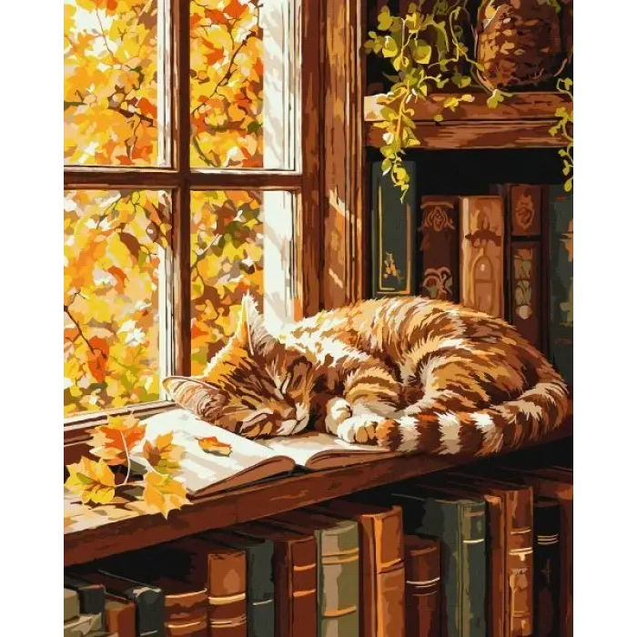 Картина за номерами - Кіт та книга ©art_selena_ua