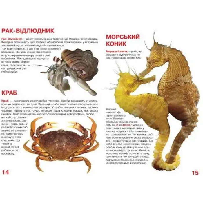 Книга "Велика книга. Жителі морів і океанів" (укр)