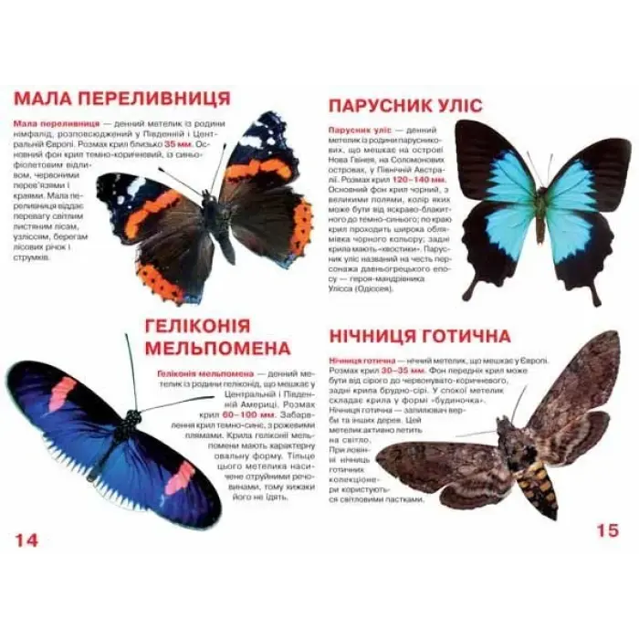 Книга "Велика книга. Метелики" (укр)