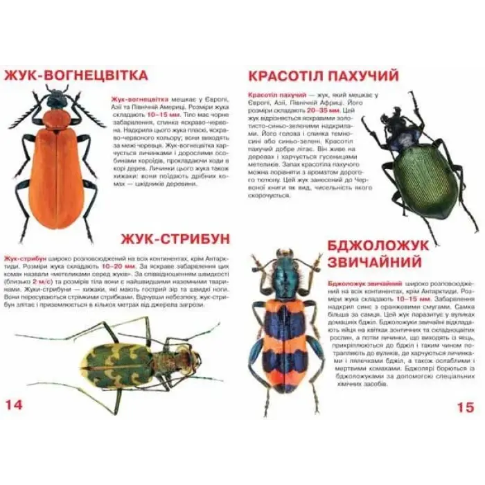 Книга "Велика книжка. Жуки" (укр)
